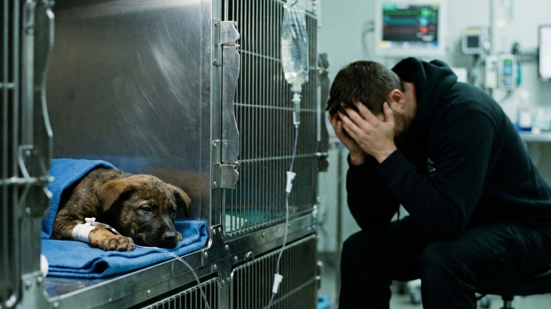 Cinomose e Parvovirose: O Pesadelo de Todo Dono de Cachorro