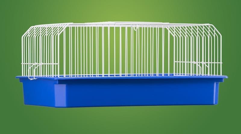 Gaiola Porquinho India Epoxi E158